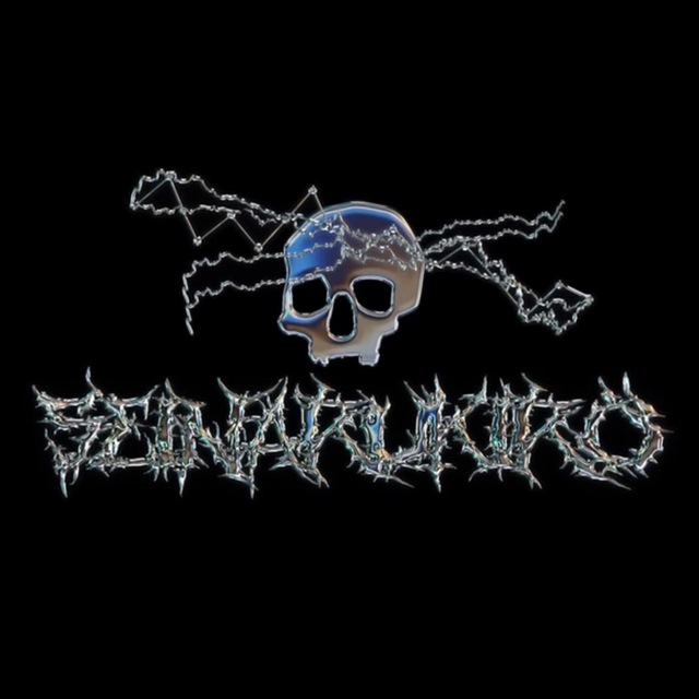 seinarukiro | CHAT
